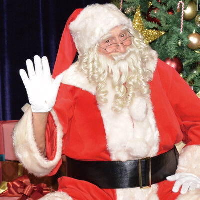 サンタと一緒にクリスマスパーティー （大人）