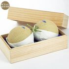 静岡県産クラウンメロン（CM-230）2個