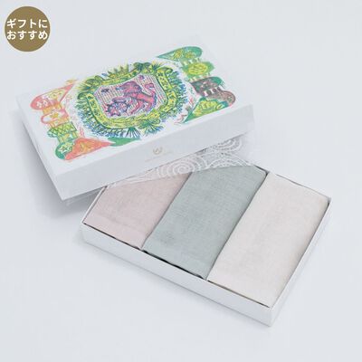 PG GAUZE フェイスタオルセット（PGG-64）3枚入