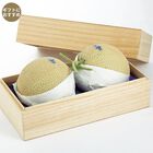 静岡県産クラウンメロン(CM-230)2個