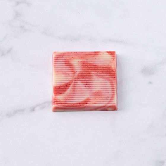 料理長スヌーピー プレートチョコレート（TA-18SV2）2種12個入