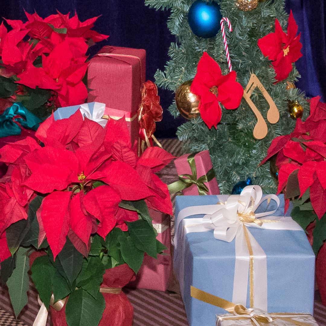 サンタと一緒にクリスマスパーティー （お子様）